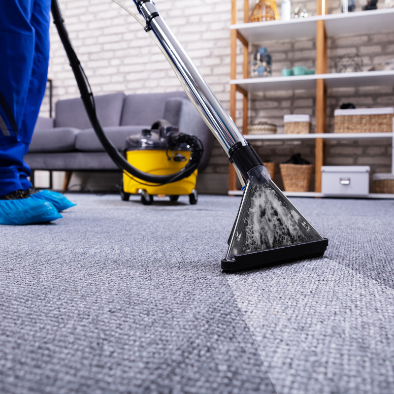 Round Lake Carpet Cleaning Services Near Me
