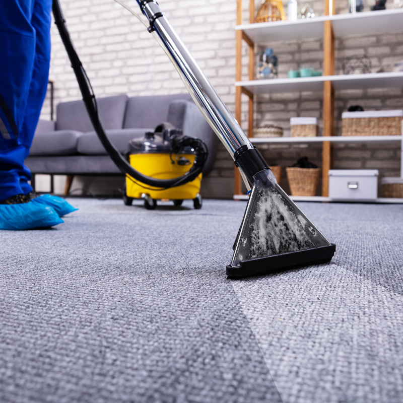 Antioch Carpet Cleaning Services Near Me