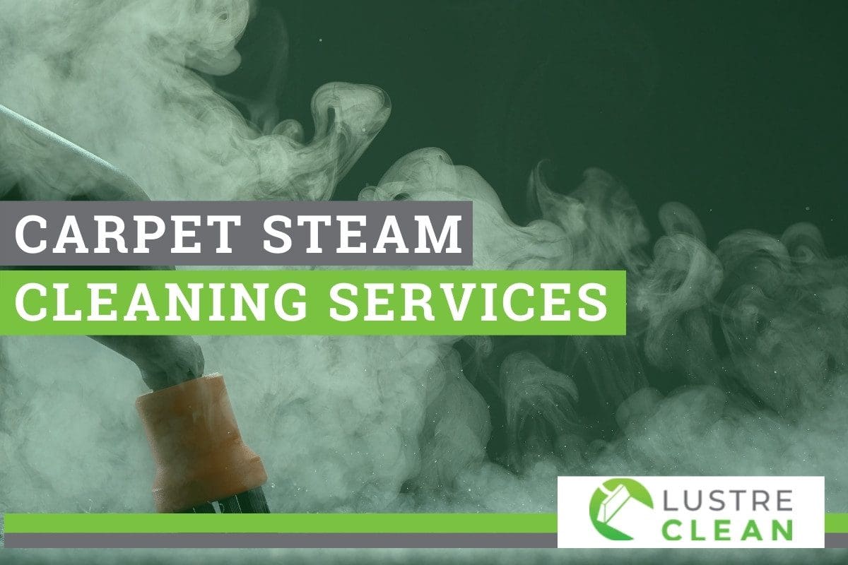 Best Carpet Steam Cleaning Services In Northern VA [Get Quote]